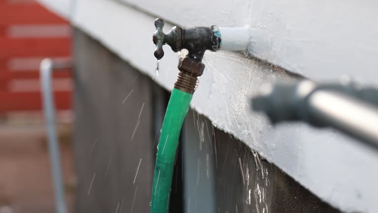 Best Hoarding Cleanup  in Ladoga, IN